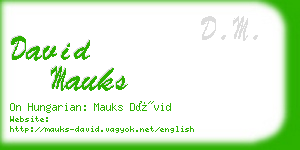 david mauks business card
